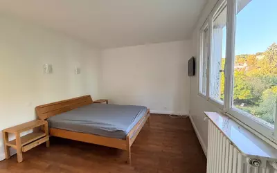 Ville-D'avray (92410)