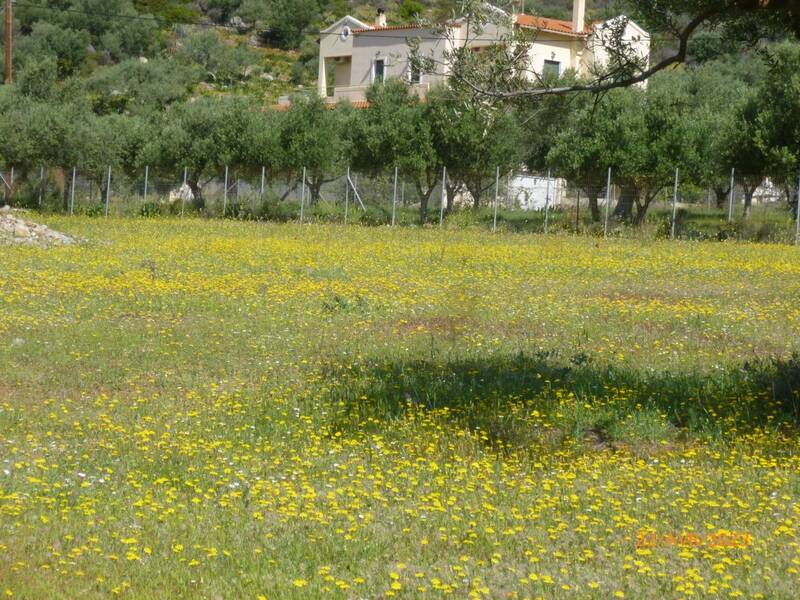 Grèce