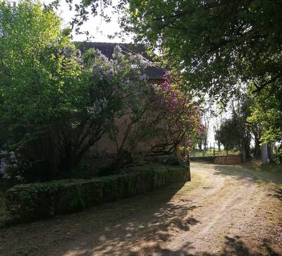 Vente maison 6 pièces Sainte-Sabine-sur-Longève (72380)