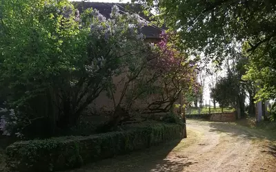Sainte-Sabine-Sur-Longève (72380)
