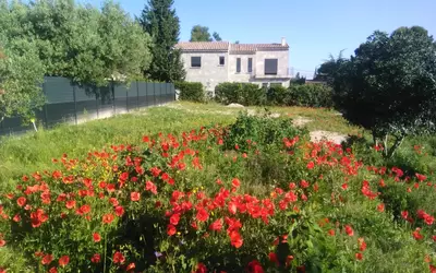 Saint-Saturnin-Lès-Avignon (84450)