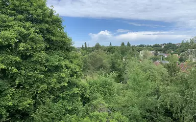 Pontoise (95000)