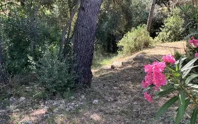 Sainte-Anastasie-Sur-Issole (83136)
