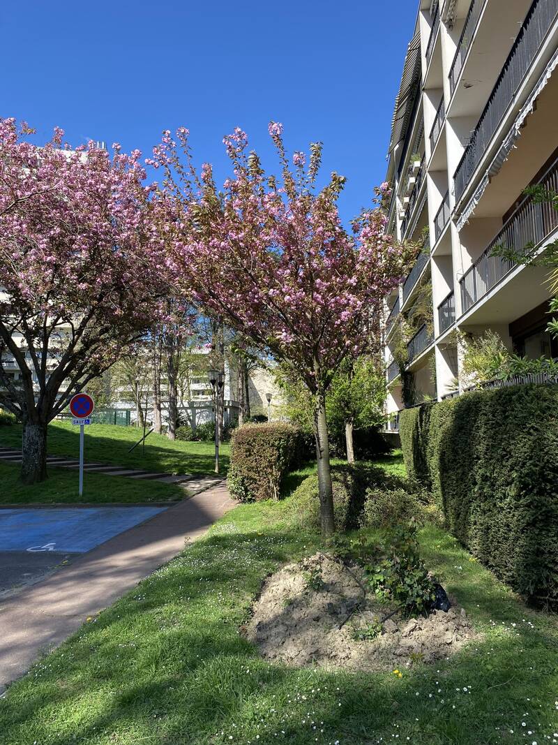Châtenay-Malabry (92290)