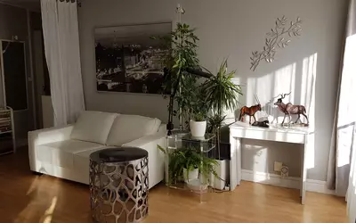 Nanterre (92000)