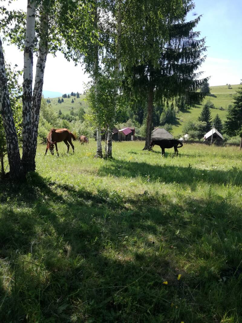 Roumanie