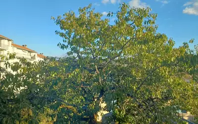 Besançon (25000)