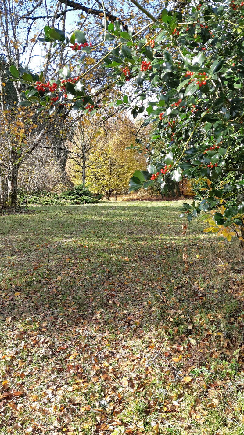 Rougegoutte (90200)