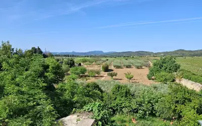 Montpeyroux