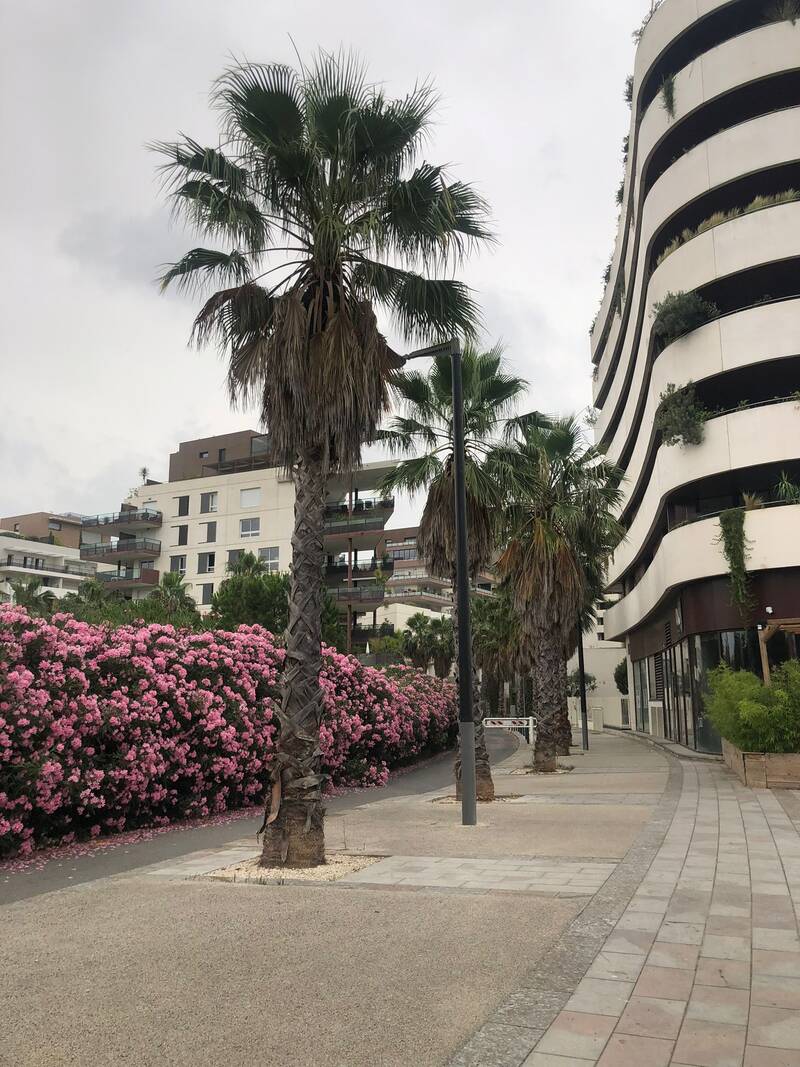 Montpellier (34000)