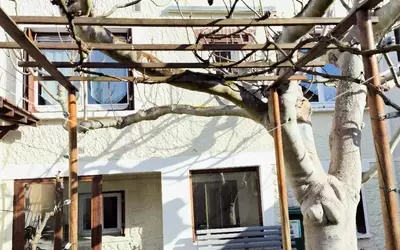Bagneux (92220)