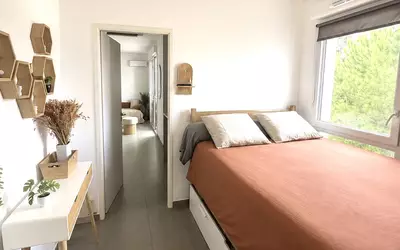 Montpellier (34000)