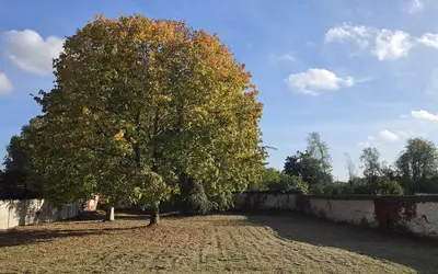 Sissonne (02150)