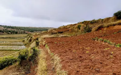 Madagascar