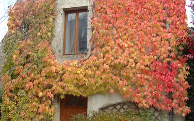 Champagne-Sur-Vingeanne (21310)