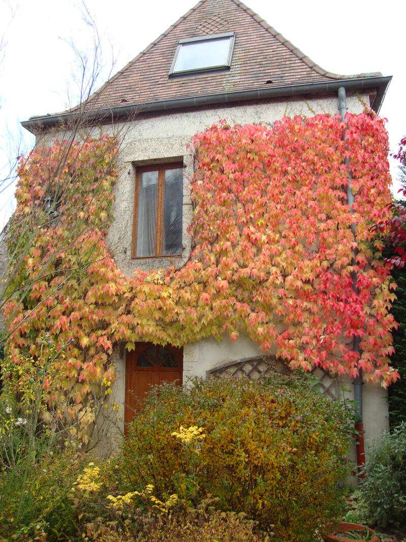 Champagne-Sur-Vingeanne (21310)