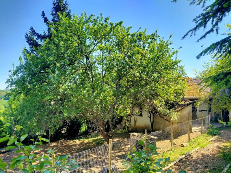 Chapelle-Guillaume (28330)