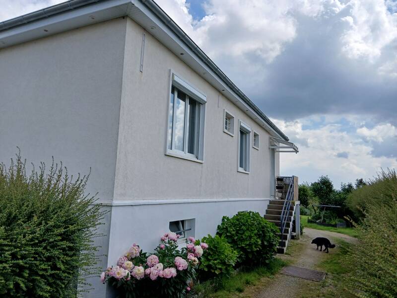 Loury (45470)