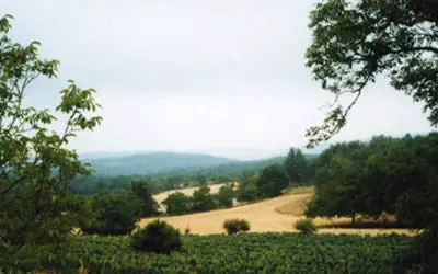 Cahors (46000)