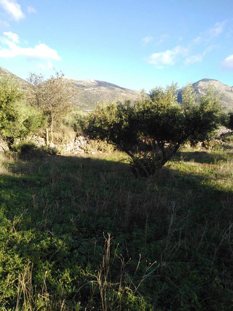 Grèce