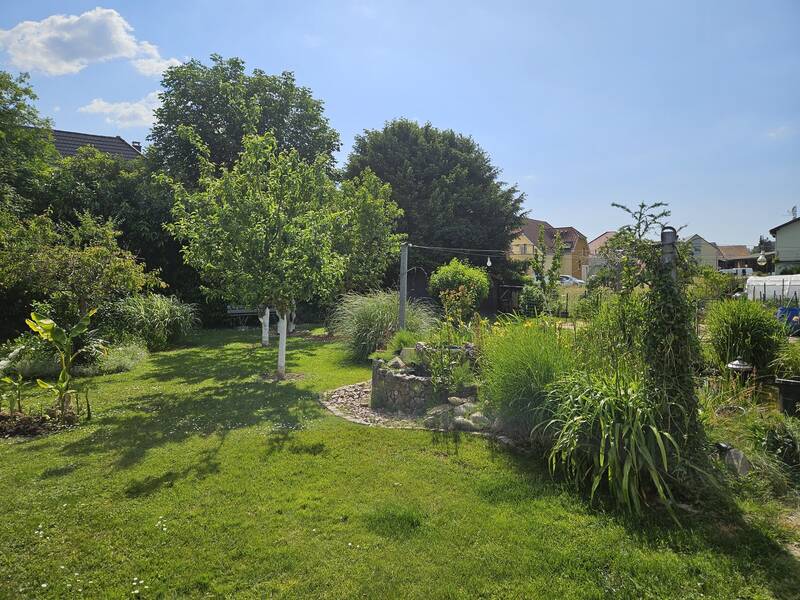 Hombourg (68490)