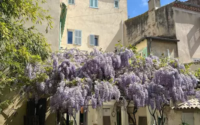 La Ciotat (13600)