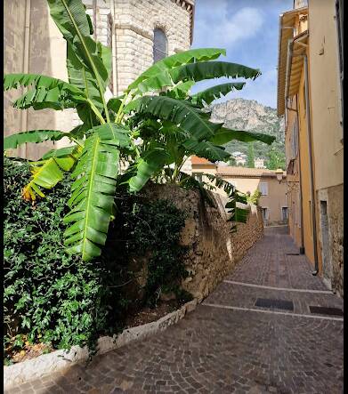 Beaulieu-Sur-Mer (06310)