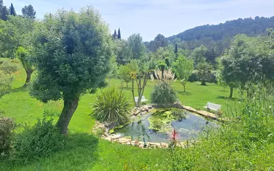 Cotignac (83570)