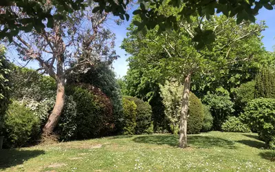 Saint-Germain-En-Laye (78100)
