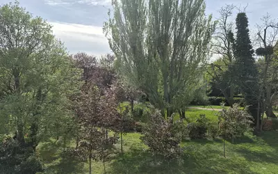 Neuilly-Plaisance (93360)