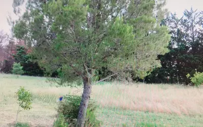 Fournès (30210)