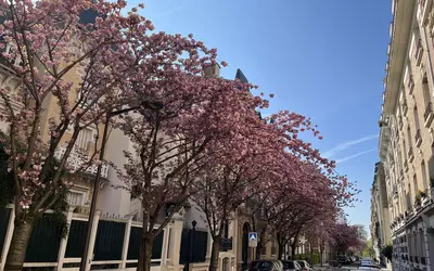 Vincennes (94300)