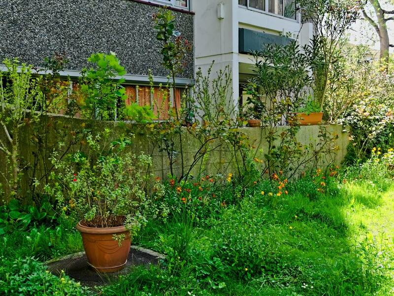 Bagnolet (93170) + Terrasse Et Jardin