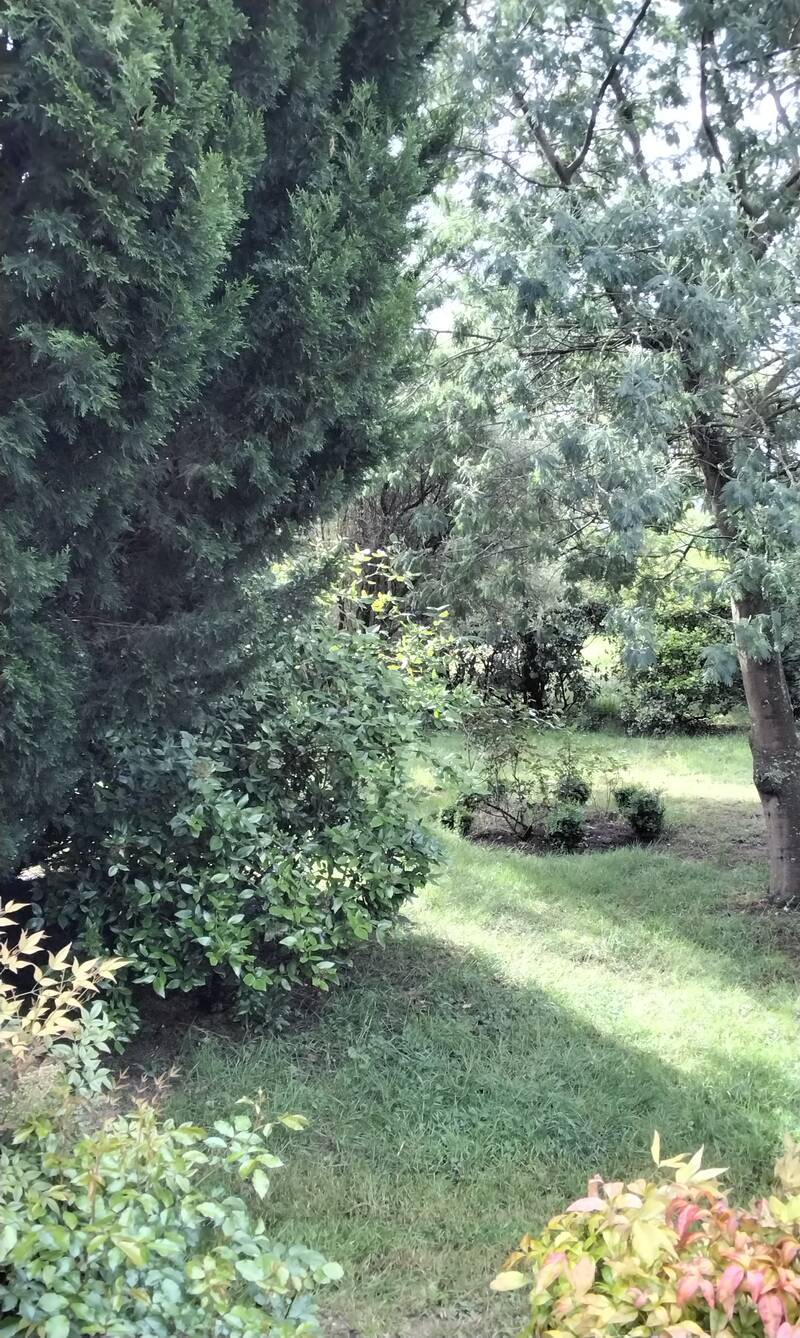 Saint-Gildas-Des-Bois (44530)