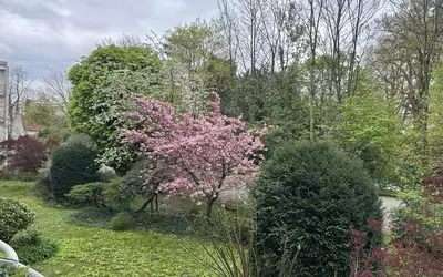 Nogent-Sur-Marne (94130)