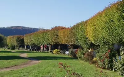 Bennecourt (78270)