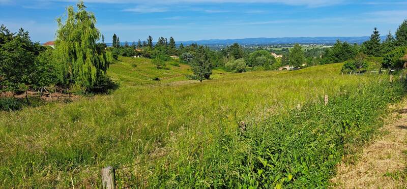 Roanne (42300)