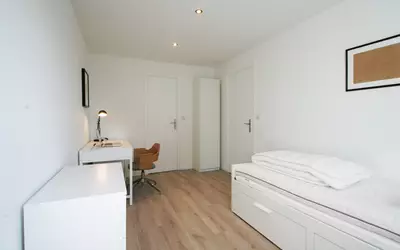 Lille (59000)