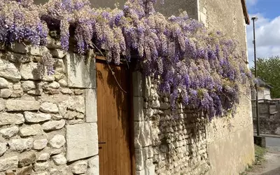 Marigny-Marmande (37120)