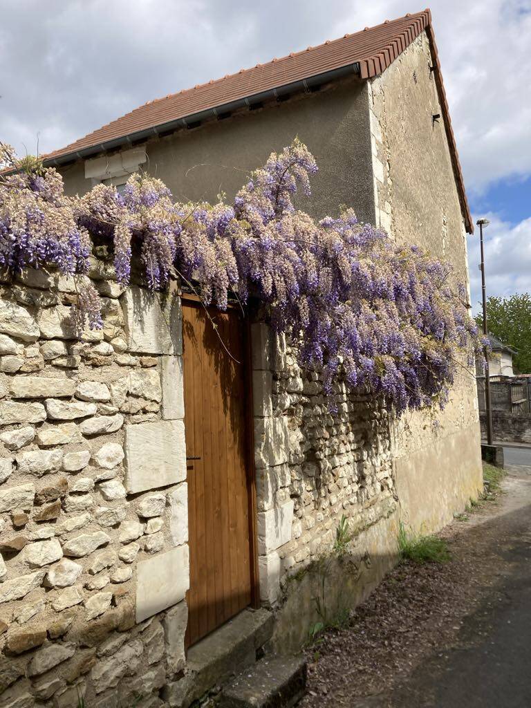 Marigny-Marmande (37120)
