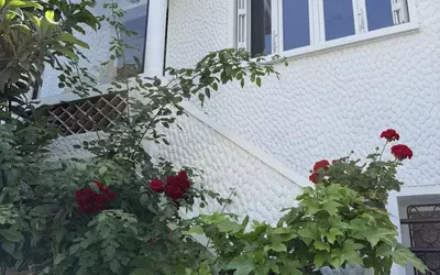 Maisons-Alfort (94700)