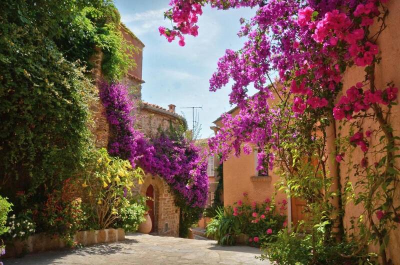 Bormes-Les-Mimosas (83230)