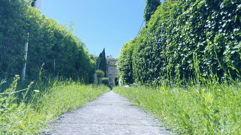 Nice (06000) -Cimiez-