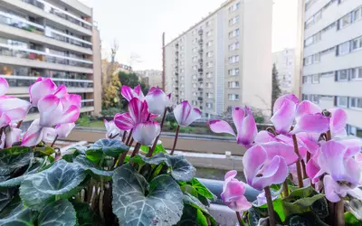 Paris 13E (75013)