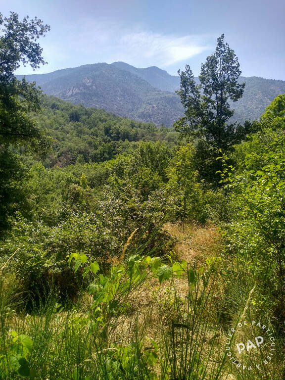 Terrain