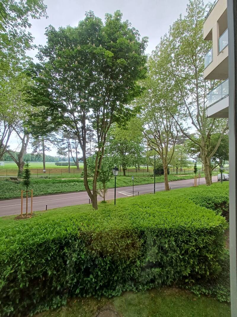 Saint-Cloud (92210)