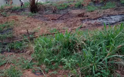 Yaoundé - Mvog Manze - Proche Odza