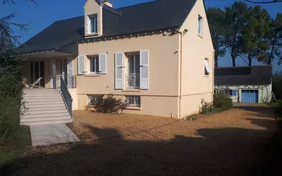 Chinon (37500)