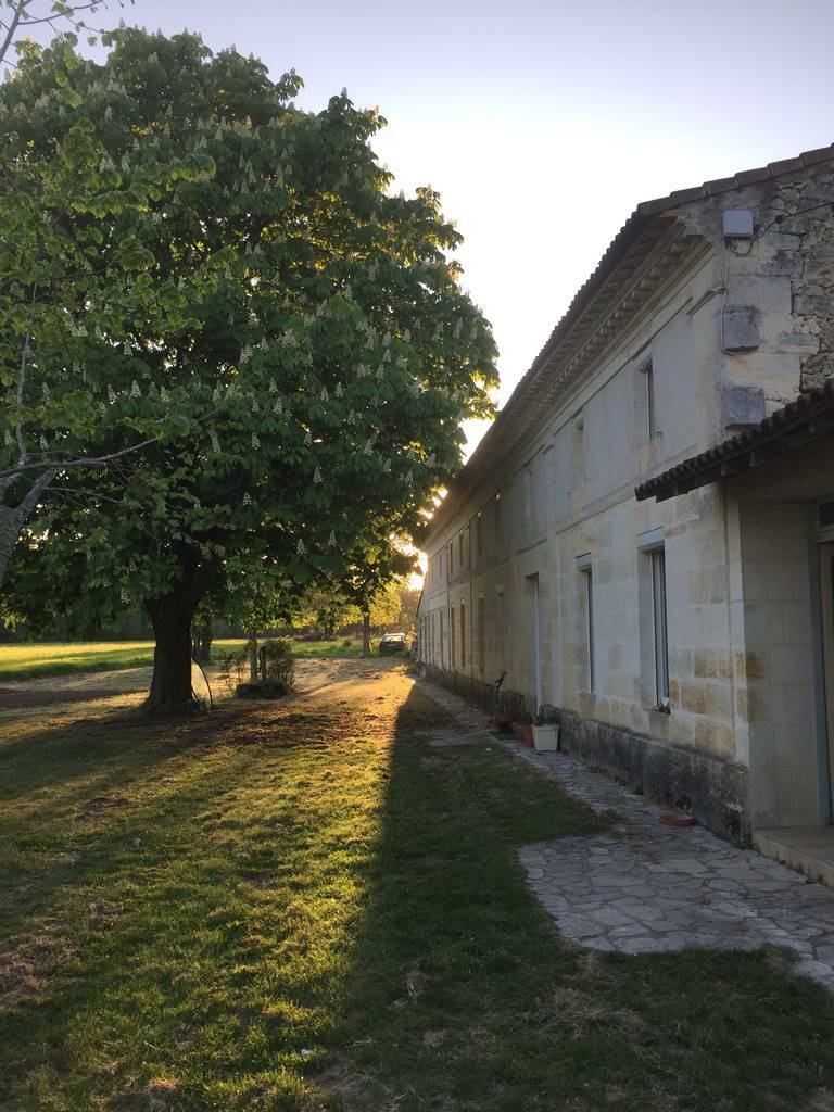 Saint-André-De-Cubzac (33240)
