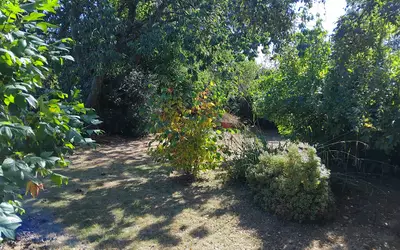 Saint-Julien (22940)